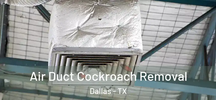  Air Duct Cockroach Removal Dallas - TX