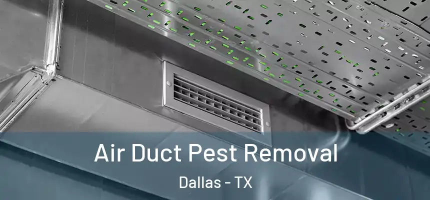  Air Duct Pest Removal Dallas - TX