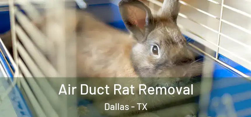  Air Duct Rat Removal Dallas - TX