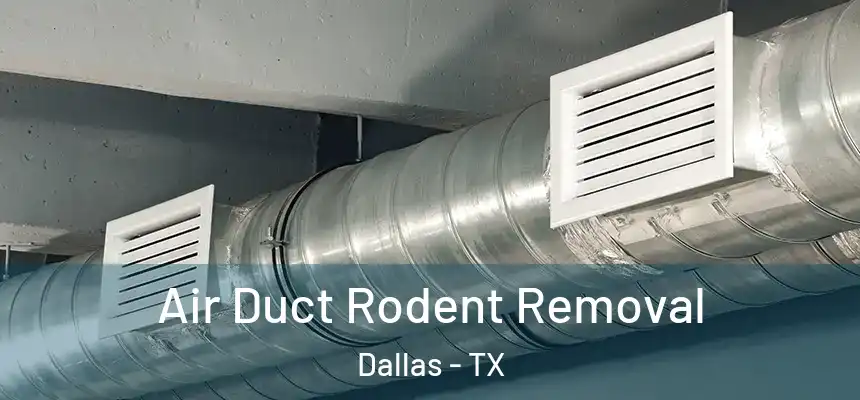  Air Duct Rodent Removal Dallas - TX