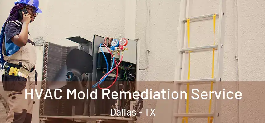  HVAC Mold Remediation Service Dallas - TX