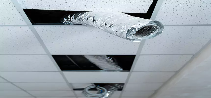 Affordable HVAC Sanitizing After Pest Removal in Dallas