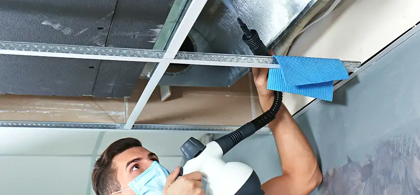 Our Air Duct Rodent Removal Services in Dallas, TX