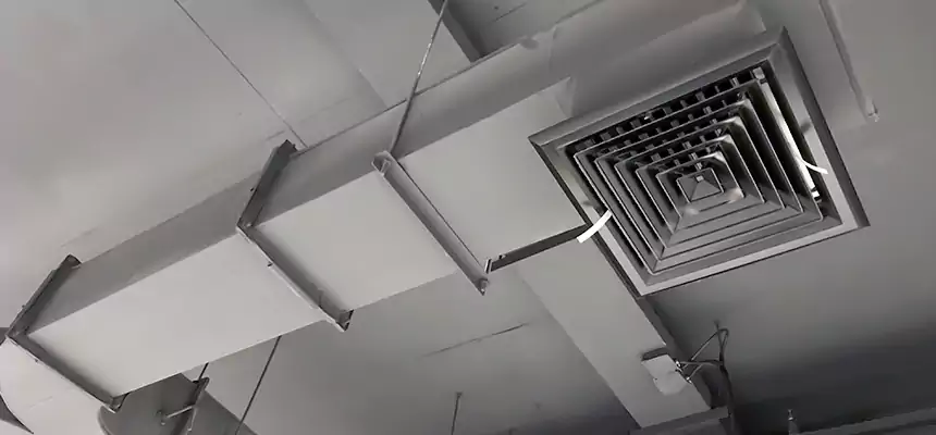 Restorative Allergy Relief Vent Cleaning – Coil, Blower & Housing Detail in Dallas