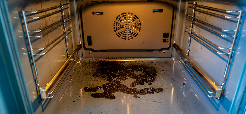 Our Dryer Vent Mold Cleaning Services in Dallas, TX