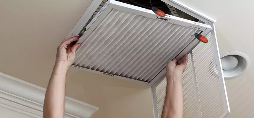 Our Insect Removal from Air Ducts Services in Dallas, TX