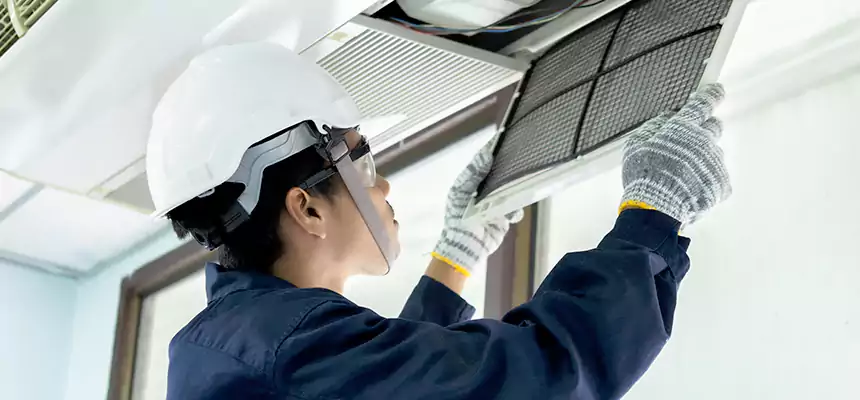 Our Mold & Mildew Removal from Air Ducts Services in Dallas, TX