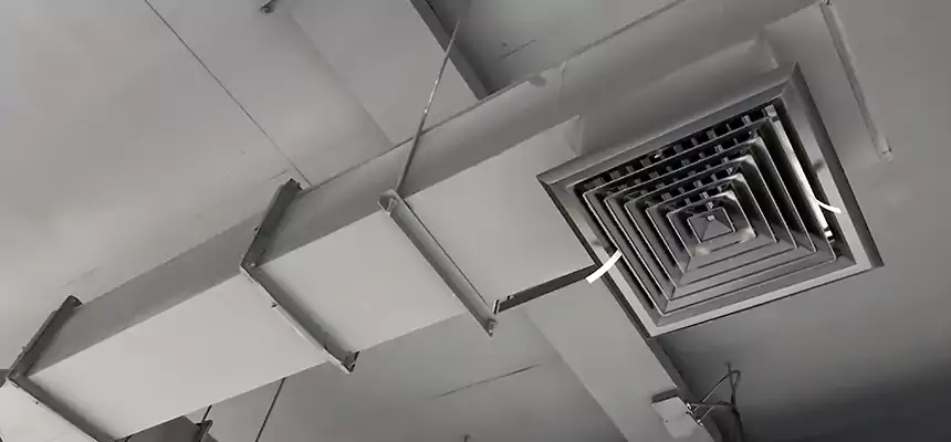 Our Rodent Droppings In Vents Services in Dallas, TX