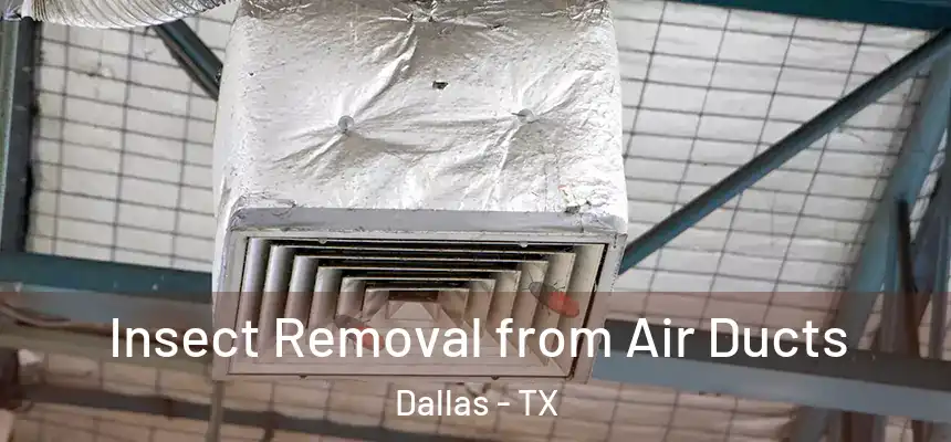  Insect Removal from Air Ducts Dallas - TX