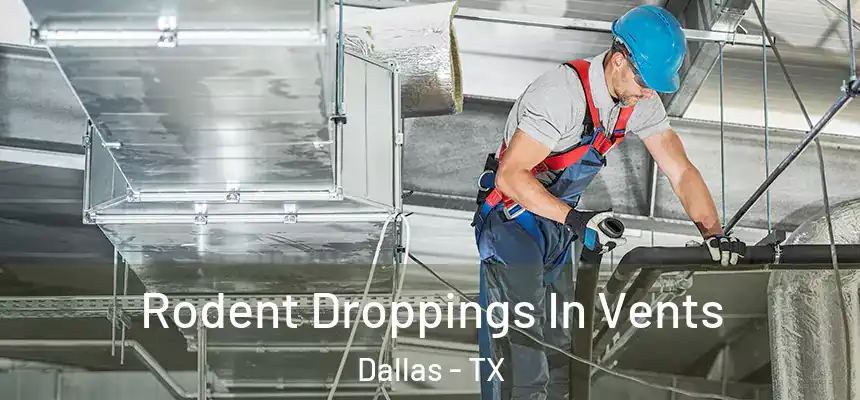 Rodent Droppings In Vents Dallas - TX