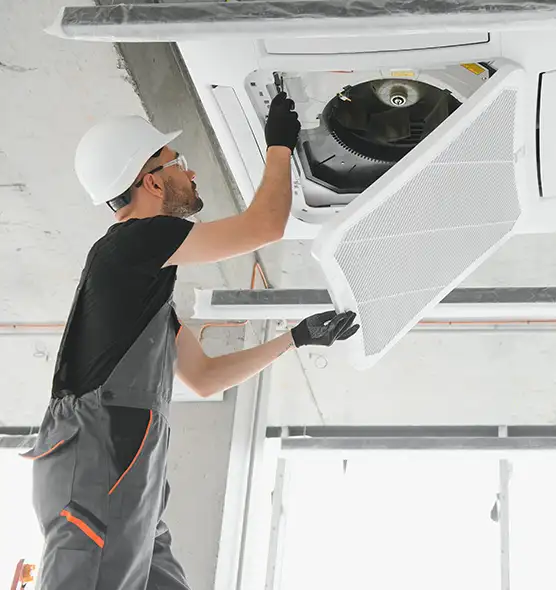 About Air Duct Rodent Removal in Dallas, TX