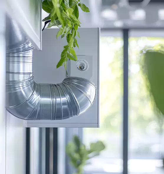 Professional Eco-Safe Dryer Vent Cleaning in Dallas, TX