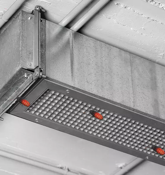Affordable Insect Removal from Air Ducts in Dallas, TX