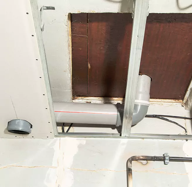 Why Homeowners & Businesses Trust Us in Dallas, TX?