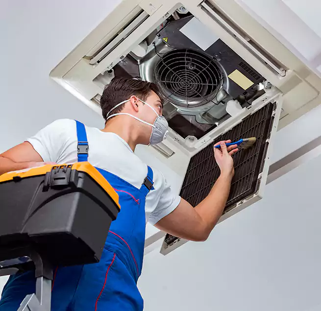 Why Homeowners & Businesses Trust Us in Dallas, TX?