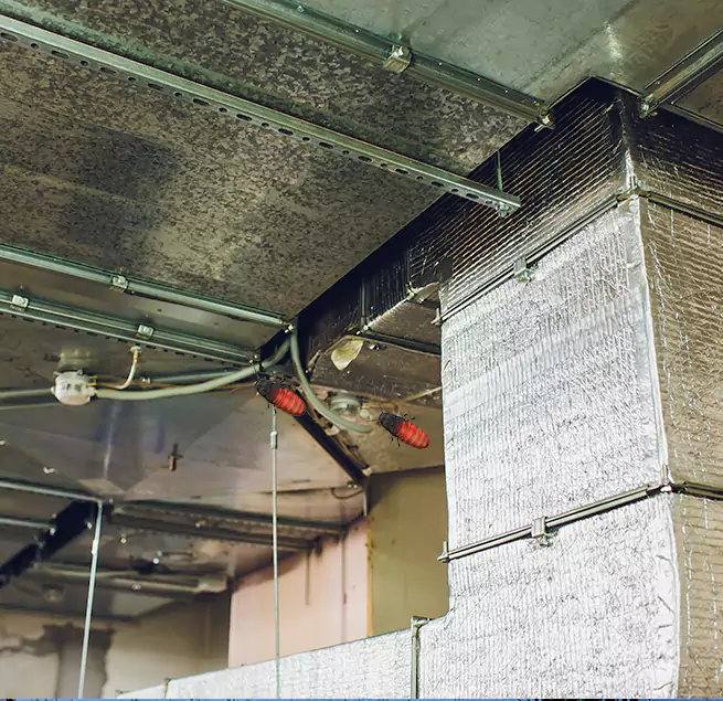 Why Homeowners & Businesses Trust Us Dallas, TX?