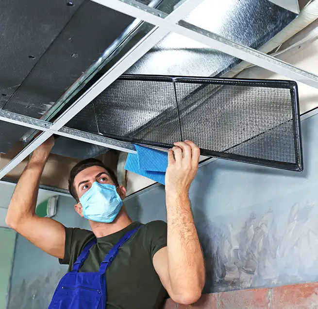 Why Homeowners & Businesses Trust Us in Dallas, TX?