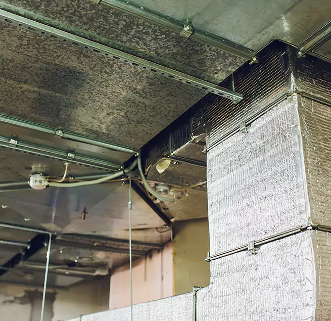 Why Homeowners & Businesses Trust Us in Dallas, TX?