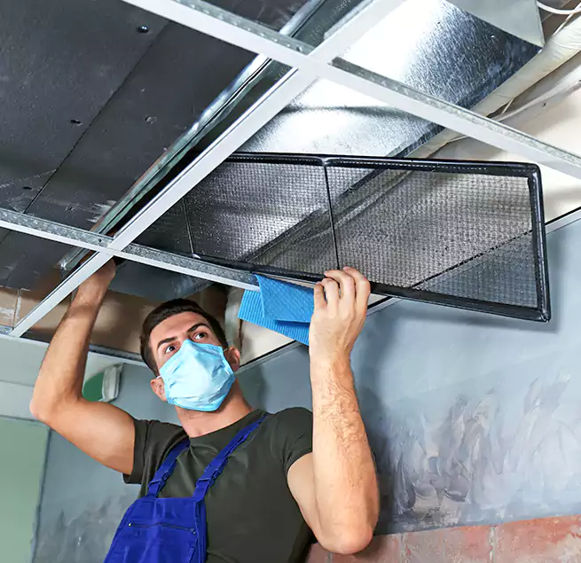 Why Homeowners Businesses Trust Us in Dallas, TX